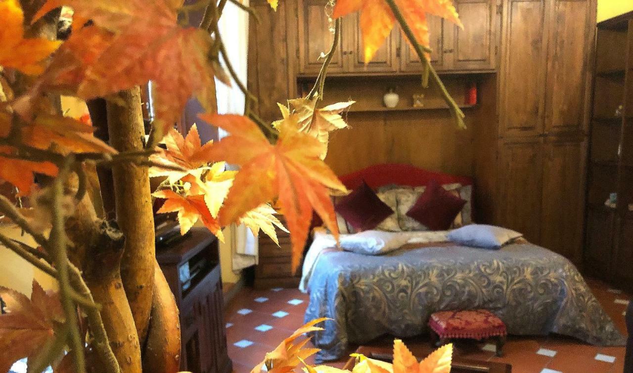 Apartamento Cozy In Position *